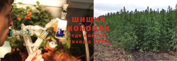 первитин Белокуриха