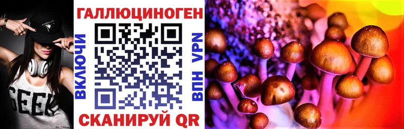 Галлюциногенные грибы GOLDEN TEACHER  где можно купить наркотик  Кондопога 
