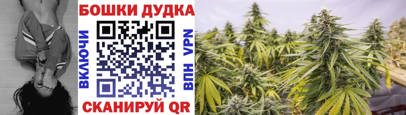 Канабис THC 21%  Кондопога 